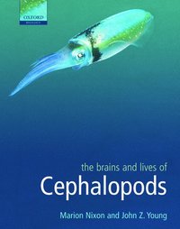 bokomslag The Brains and Lives of Cephalopods