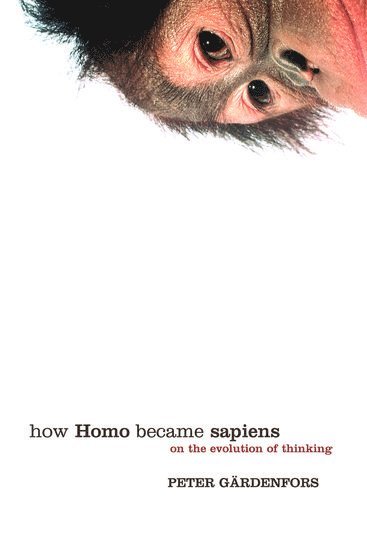 bokomslag How Homo Became Sapiens