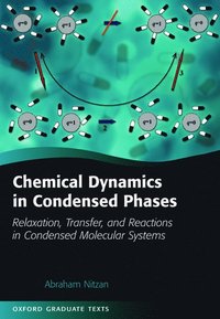 bokomslag Chemical Dynamics in Condensed Phases