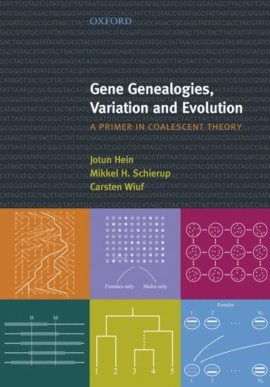 Hein, Schierup, Wiuf, Jotun Hein, Mikkel H. Schierup, Mikkel Schierup, Carsten Wiuf - Gene Genealogies, Variation and Evolution: A primer in coalescent theory, Häftad