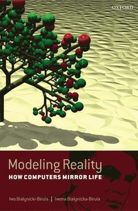 bokomslag Modeling Reality