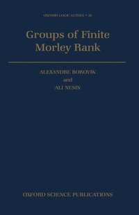bokomslag Groups of Finite Morley Rank