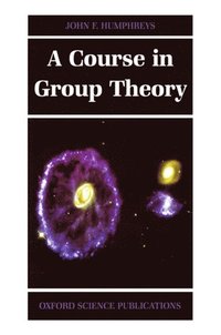 bokomslag A Course in Group Theory