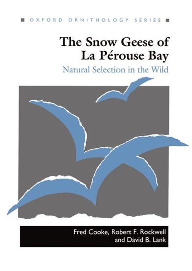 Fred Cooke, Robert F. Rockwell, David B. Lank - The Snow Geese of La Pérouse Bay, Inbunden