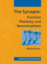bokomslag The Synapse