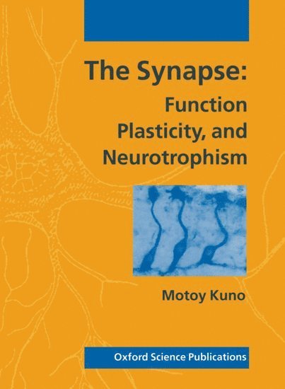 Synapse 1