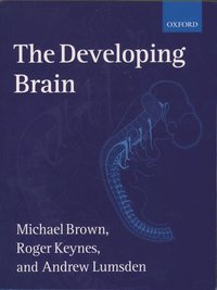 bokomslag The Developing Brain