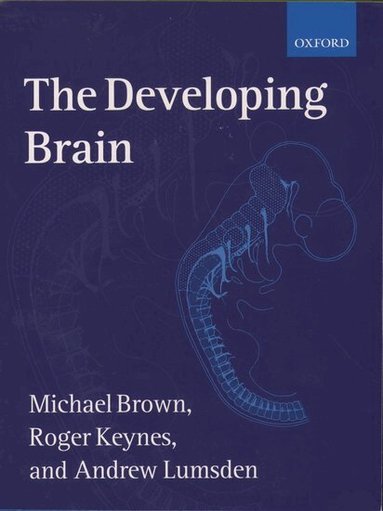Michael Brown, Roger Keynes, Andrew Lumsden - The Developing Brain, Häftad