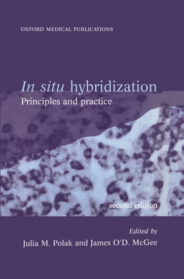 In Situ Hybridization 1