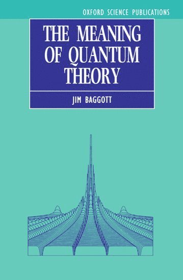 bokomslag The Meaning of Quantum Theory