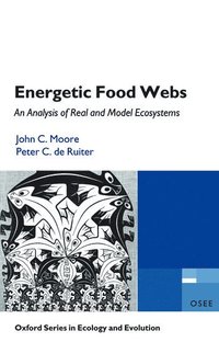 bokomslag Energetic Food Webs