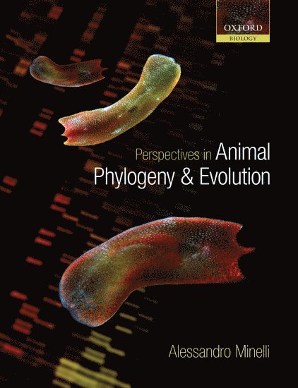 Perspectives in Animal Phylogeny and Evolution 1