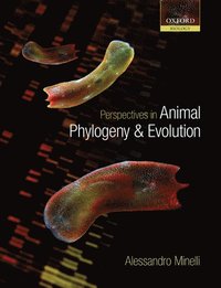 bokomslag Perspectives in Animal Phylogeny and Evolution