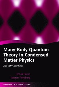 bokomslag Many-Body Quantum Theory in Condensed Matter Physics