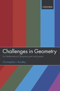 bokomslag Challenges in Geometry
