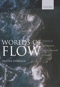 bokomslag Worlds of Flow