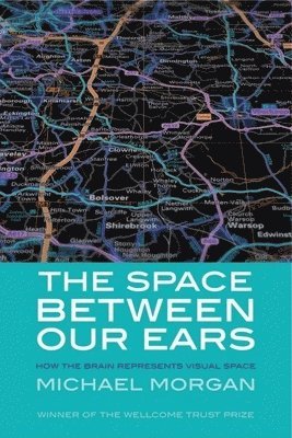 The Space Between Our Ears: How the Brain Represents Visual Space
