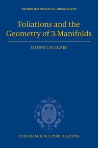 bokomslag Foliations and the Geometry of 3-Manifolds