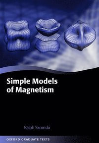 bokomslag Simple Models of Magnetism