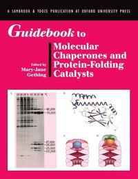 bokomslag Guidebook to Molecular Chaperones and Protein-Folding Catalysts