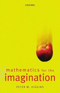 bokomslag Mathematics for the Imagination