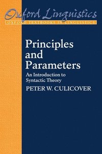 bokomslag Principles and Parameters