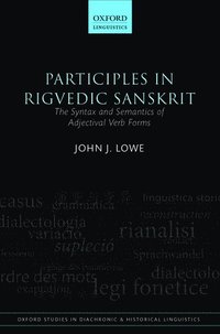 bokomslag Participles in Rigvedic Sanskrit