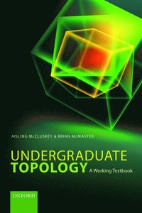 bokomslag Undergraduate Topology