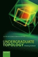 bokomslag Undergraduate Topology