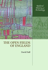 bokomslag The Open Fields of England