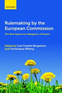 bokomslag Rulemaking by the European Commission