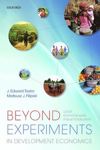 bokomslag Beyond Experiments in Development Economics