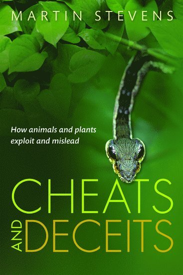 Cheats and Deceits 1