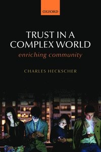 bokomslag Trust in a Complex World