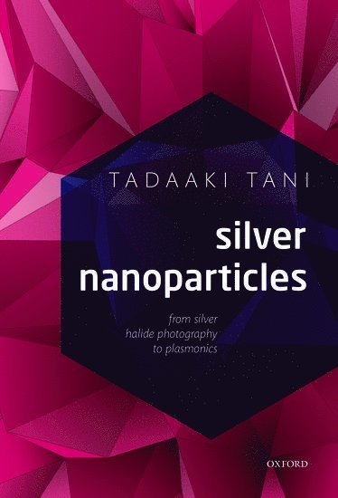 bokomslag Silver Nanoparticles