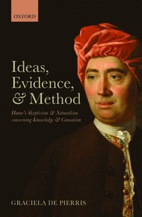 bokomslag Ideas, Evidence, and Method
