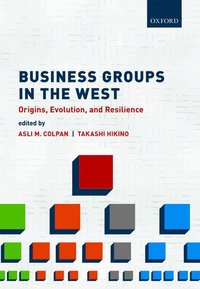 bokomslag Business Groups in the West