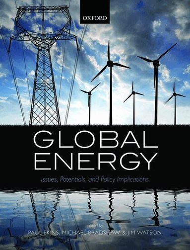 Paul Ekins, Mike Bradshaw, Jim Watson - Global Energy, Häftad