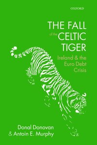 bokomslag The Fall of the Celtic Tiger