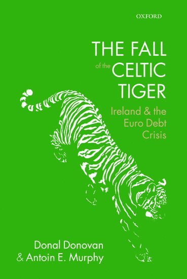 bokomslag The Fall of the Celtic Tiger