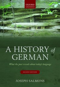 bokomslag A History of German