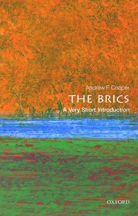 bokomslag The BRICS: A Very Short Introduction