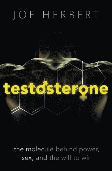 bokomslag Testosterone