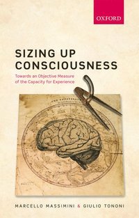 bokomslag Sizing up Consciousness