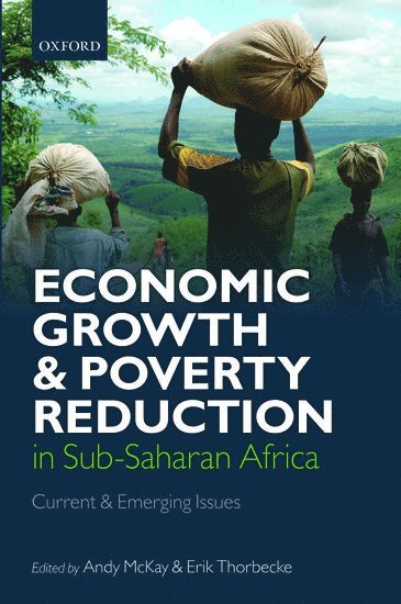 bokomslag Economic Growth and Poverty Reduction in Sub-Saharan Africa