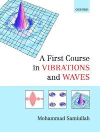 bokomslag A First Course in Vibrations and Waves