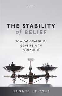 bokomslag The Stability of Belief