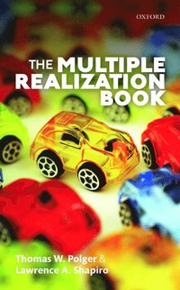 bokomslag The Multiple Realization Book