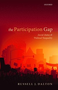 bokomslag The Participation Gap