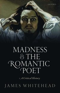 bokomslag Madness and the Romantic Poet